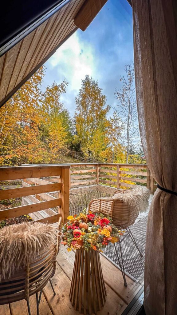 cazare apuseni blackroof